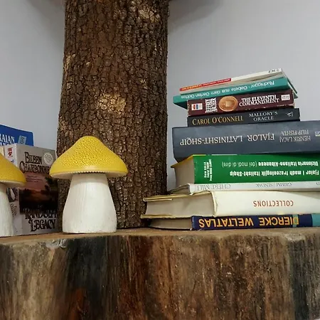 Traveler's Place At Centre